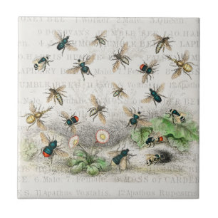 Antique Bee Honey Worker Queen Bees Vintage Ceramic Tile