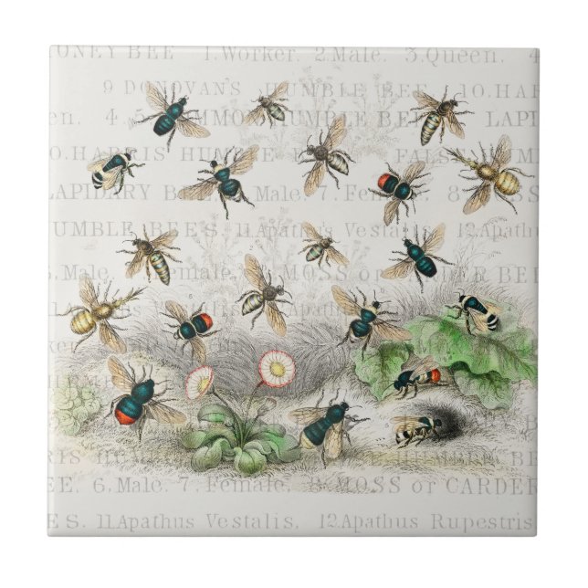 Antique Bee Honey Worker Queen Bees Vintage Ceramic Tile (Front)