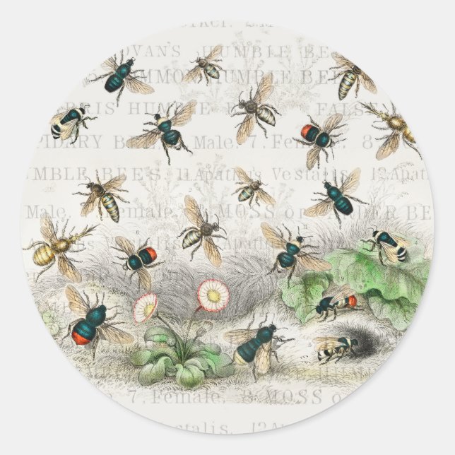 Antique Bee Honey Worker Queen Bees Vintage Classic Round Sticker (Front)