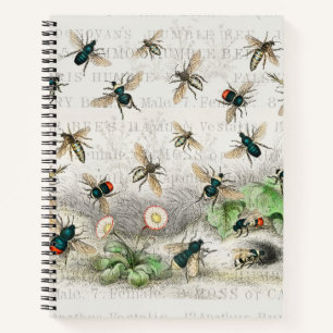 Antique Bee Honey Worker Queen Bees Vintage Notebook