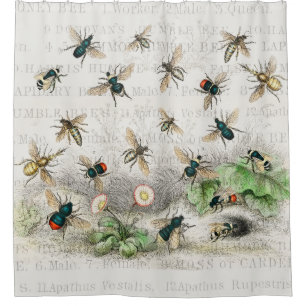 Antique Bee Honey Worker Queen Bees Vintage Shower Curtain