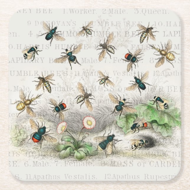 Antique Bee Honey Worker Queen Bees Vintage Square Paper Coaster (Front)