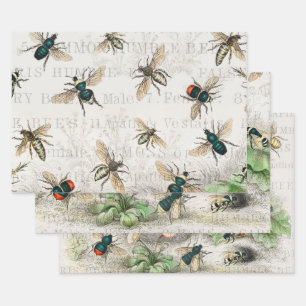 Antique Bee Honey Worker Queen Bees Vintage Wrapping Paper Sheet