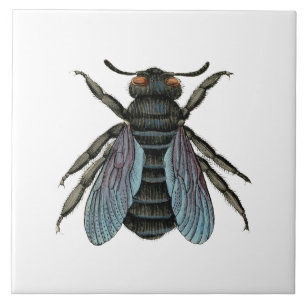 Antique Bee Typographic Vintage Honey Bees Art Ceramic Tile