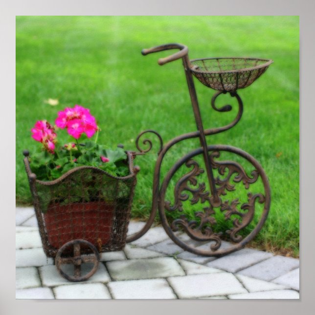 Antique Bicycle Flower Container Orton Art Poster (Front)