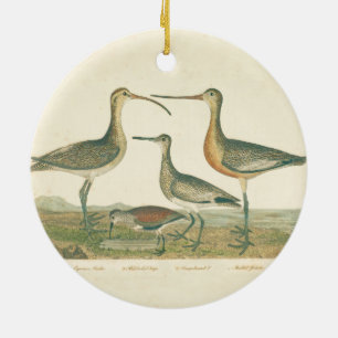Antique Bird Print Marsh Coastal Ceramic Ornament