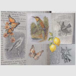 Antique Birds and Butterflies Decoupage Tissue Paper