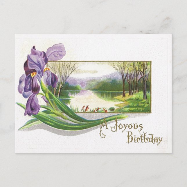 Antique Birthday Post Card-Purple Iris Flower Postcard (Front)