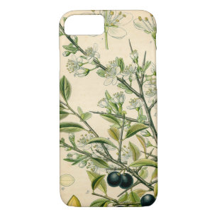 Antique Blackthorn Botanical Print Flower Berry iPhone 8/7 Case