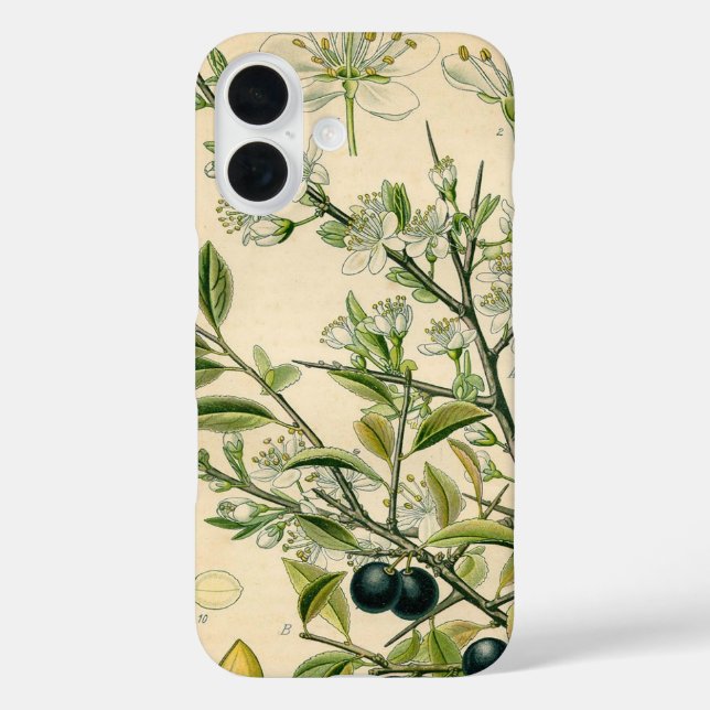 Antique Blackthorn Botanical Print Flower Berry Case-Mate iPhone Case (Back)
