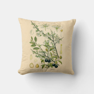 Antique Blackthorn Botanical Print Flower Berry Cushion