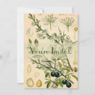 Antique Blackthorn Botanical Print Flower Berry Invitation
