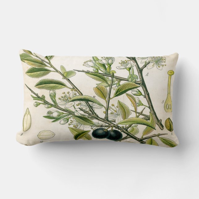 Antique Blackthorn Botanical Print Flower Berry Lumbar Cushion (Front)