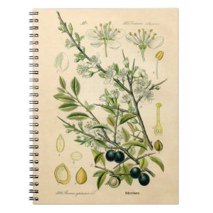 Antique Blackthorn Botanical Print Flower Berry Notebook