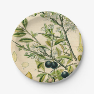 Antique Blackthorn Botanical Print Flower Berry Paper Plate