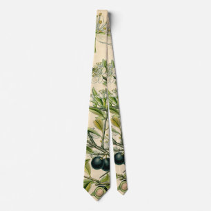 Antique Blackthorn Botanical Print Flower Berry Tie