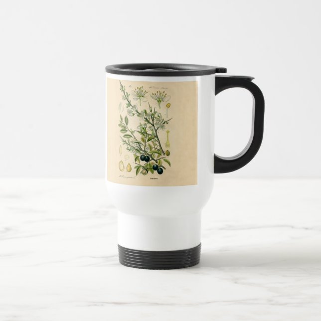 Antique Blackthorn Botanical Print Flower Berry Travel Mug (Right)