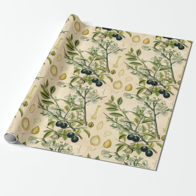 Antique Blackthorn Botanical Print Flower Berry Wrapping Paper (Unrolled)