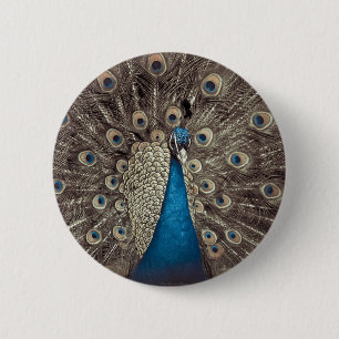 Antique Blue Peacock 6 Cm Round Badge