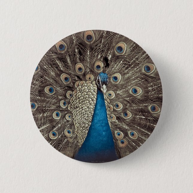 Antique Blue Peacock 6 Cm Round Badge (Front)