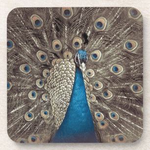 Antique Blue Peacock Coaster