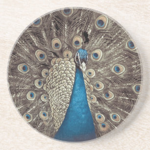Antique Blue Peacock Coaster