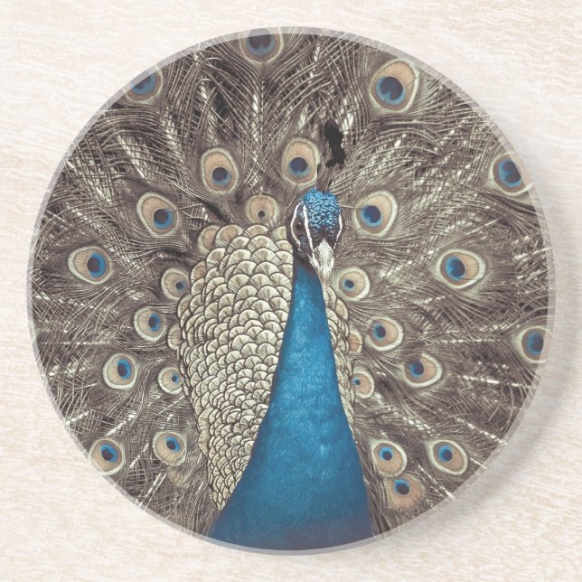 Antique Blue Peacock Coaster (Front)