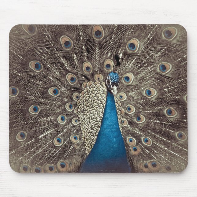 Antique Blue Peacock Mouse Pad (Front)
