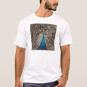 Antique Blue Peacock T-Shirt