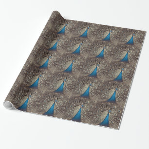 Antique Blue Peacock Wrapping Paper