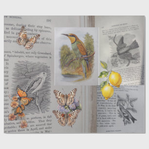 Antique Books, Birds and Butterflies  Wrapping Paper