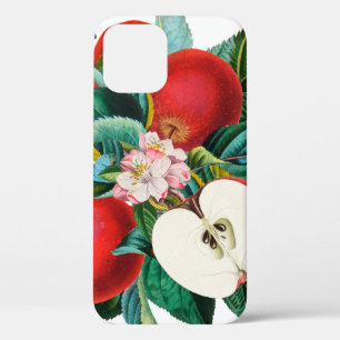 Antique botanical apple fruit arrangement, apple t iPhone 12 case