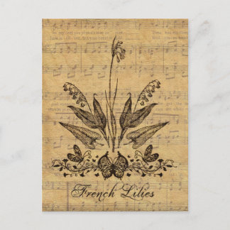 Antique Botanical French Lillies Postcard