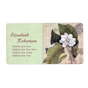 Antique Botanical Print Magnolia Collage