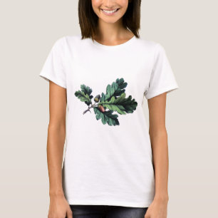 Antique Botanical Print Oak Leaves & Acorns T-Shirt