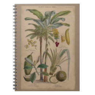 Antique Botanical Print - Tropical Fruit Notebook