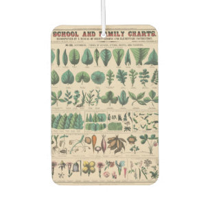 Antique Botanical School Chart Vintage Nature Car Air Freshener