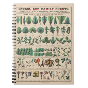 Antique Botanical School Chart Vintage Nature Notebook