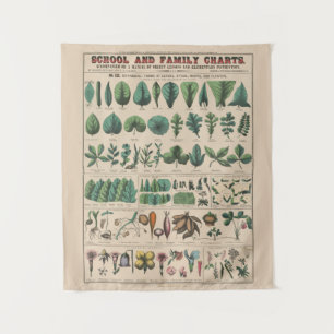 Antique Botanical School Chart Vintage Nature Tapestry