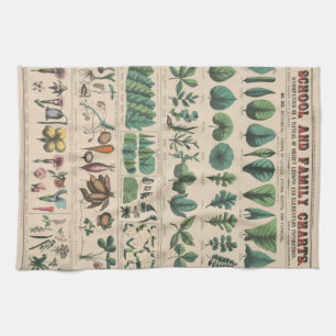 Antique Botanical School Chart Vintage Nature Tea Towel