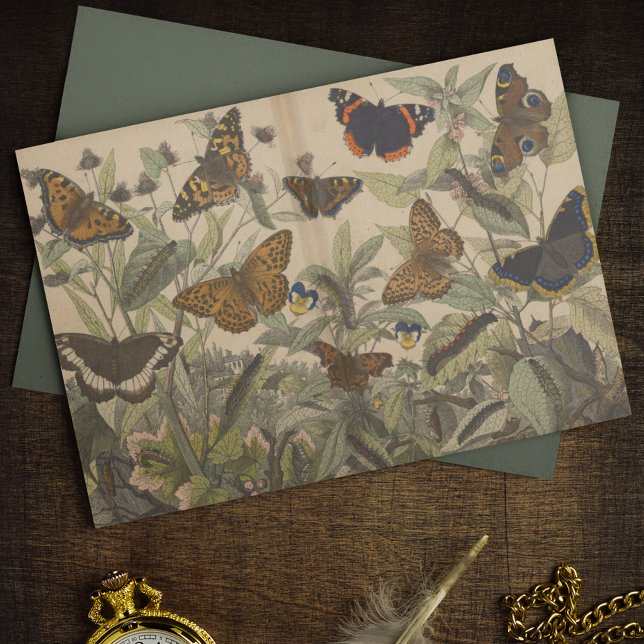Antique Botanical Vintage Butterfly Decoupage Tissue Paper (Creator Uploaded)
