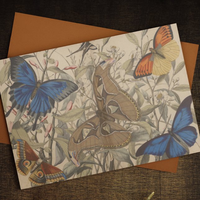 Antique Botanical Vintage Moth Butterfly Decoupage Tissue Paper (Creator Uploaded)