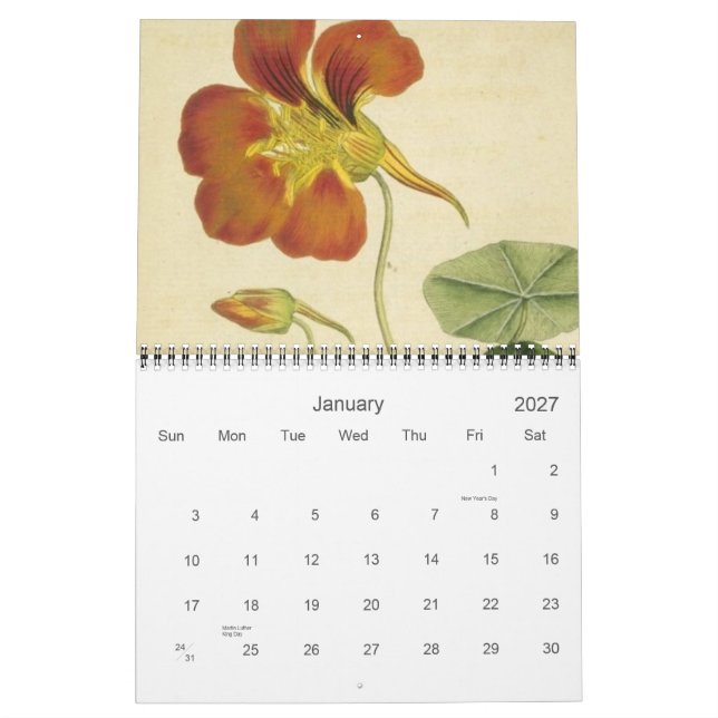 Antique Botanicals Calendar (Jan 2027)