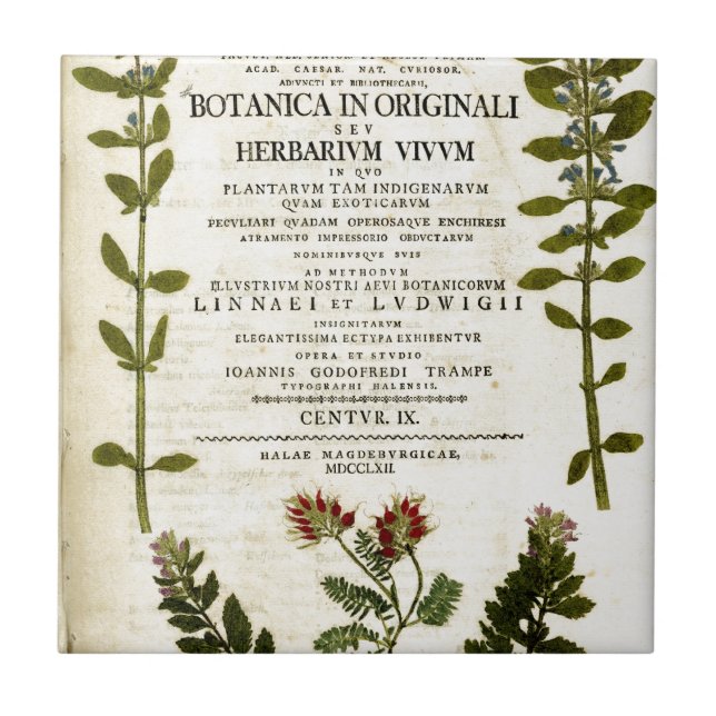 Antique Botany Bookplate Ceramic Tile (Front)
