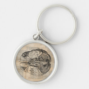 Antique Brain Diagram Old Fashioned Art Key Ring