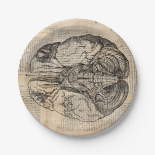Antique Brain Diagram Old Fashioned Art Paper Plate
