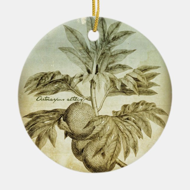 Antique Breadfruit Artocarpus Altilis Ceramic Tree Decoration (Front)