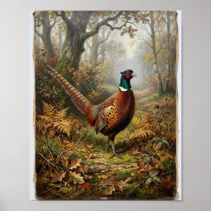 Antique British Gamebirds Pheasant Partridg Poster