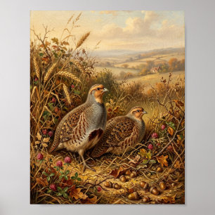 Antique British Gamebirds Pheasant Partridg Poster
