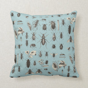 Antique Bugs and  Insects Entomology Cushion